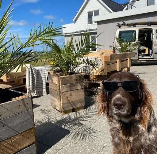 Bed & Breakfast By The Sea Hirtshals